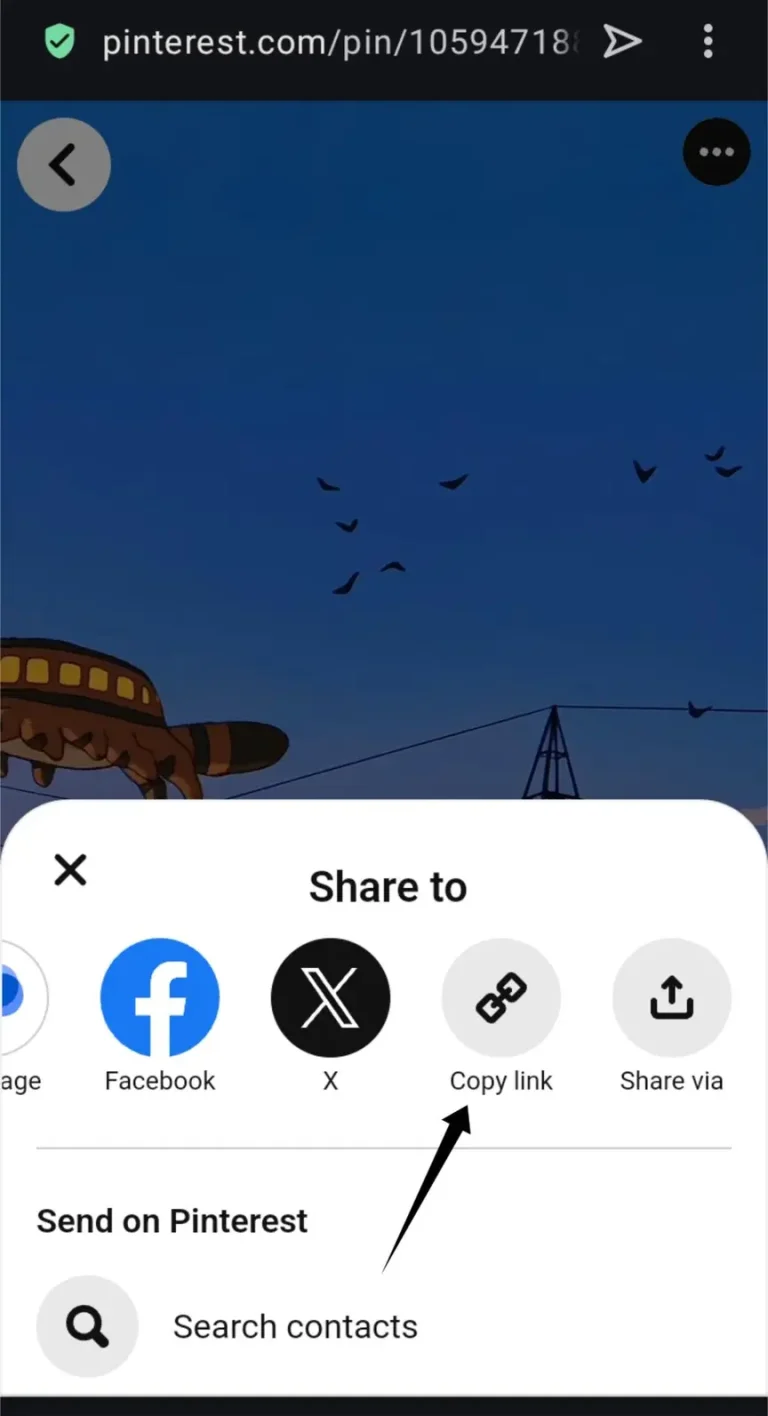 Step 3 - Tap on Share then Copy Link