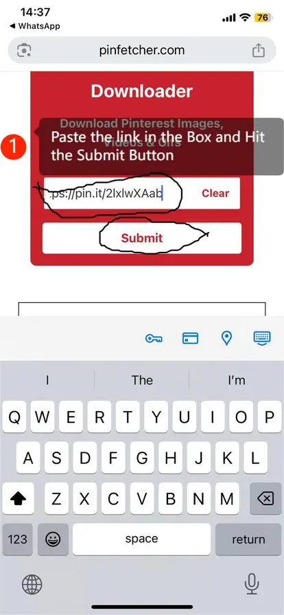 Paste the Link and Hit Submit Button