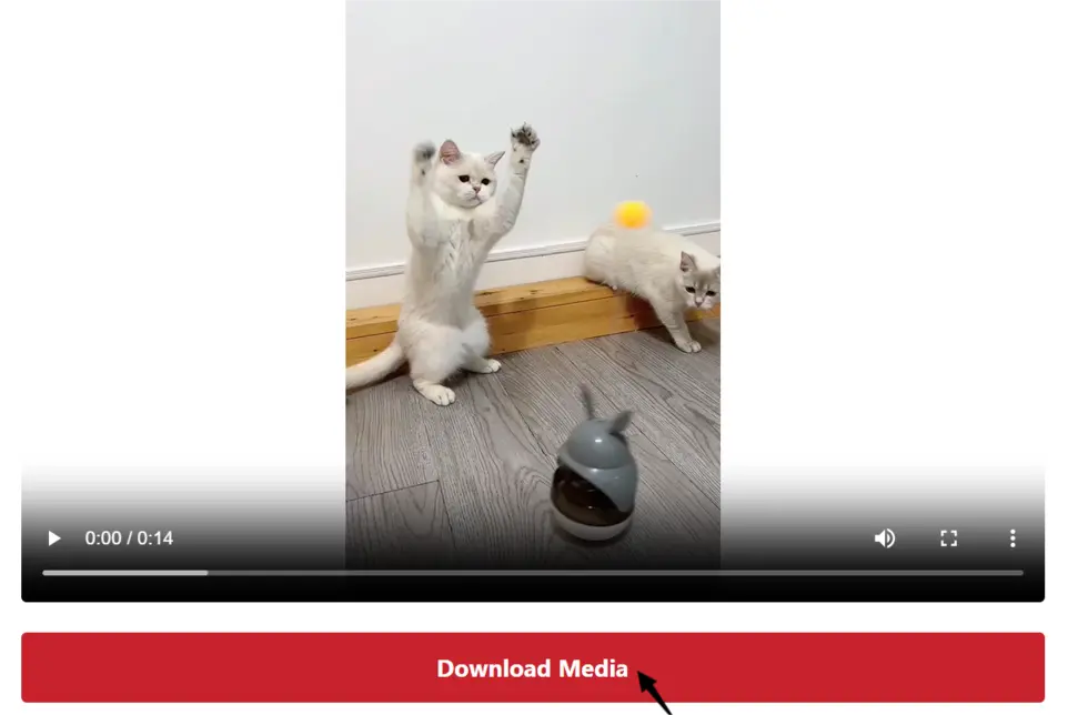 Click Download Media